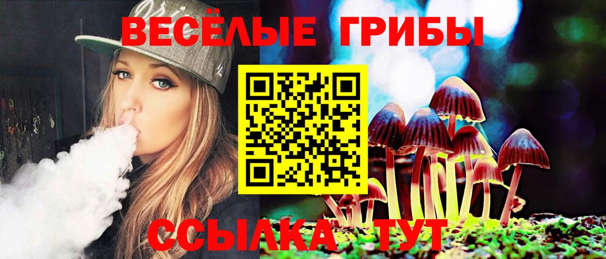 Гурьевск  Псилоцибиновые грибы ЛСД  Вход с VPN 