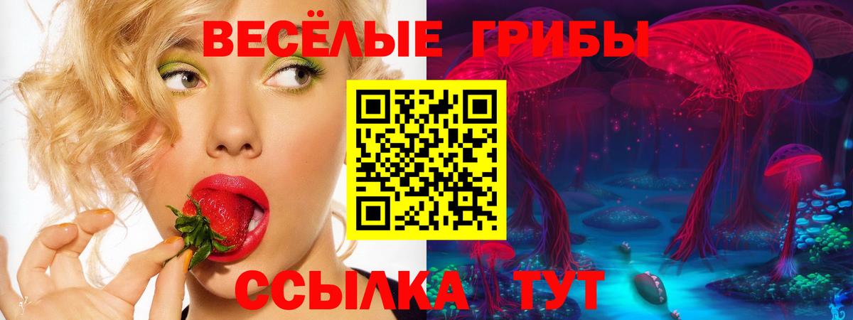 Галлюциногенные грибы прущие грибы Гурьевск